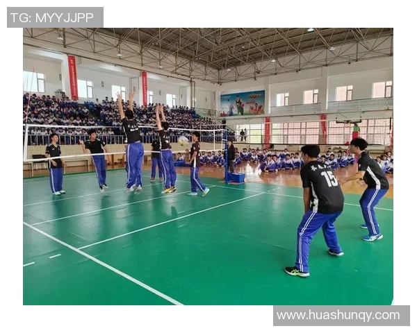 南京排球队的阵地战解析：深度剖析战术与团队协作的成功之道